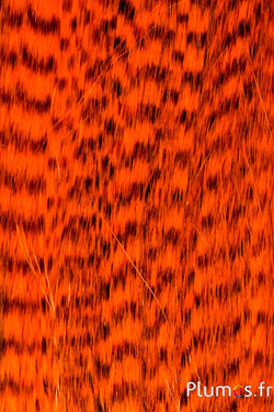 Extensions synthétiques - 40 cm, clip 3 coul. - orange